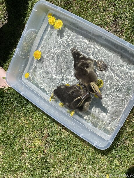 Xsluttycupcakex6669x model kostenlose bild