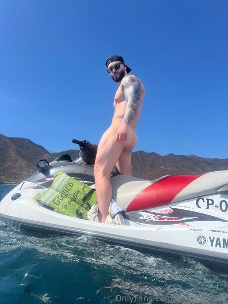 Theolivercolt freie beste fotos