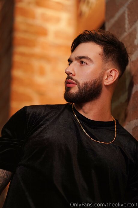 Theolivercolt beste perfekte bilder