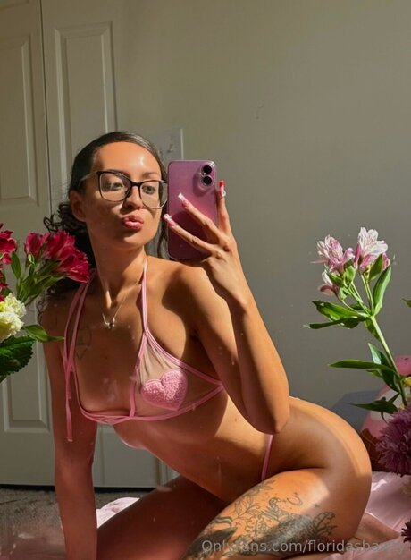 Floridashawty hd kostenlose bilder