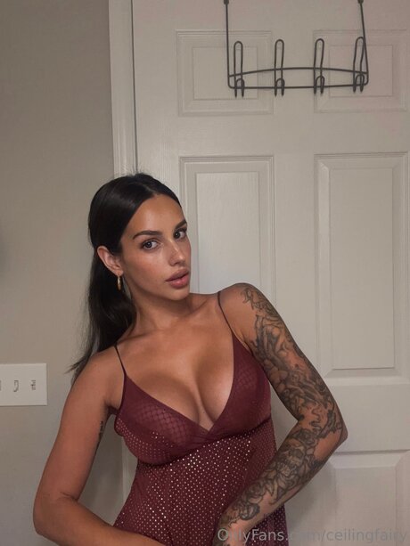 Ceilingfairy freie schöne foto