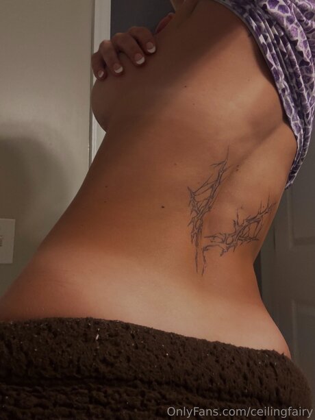 Ceilingfairy beste freie fotos