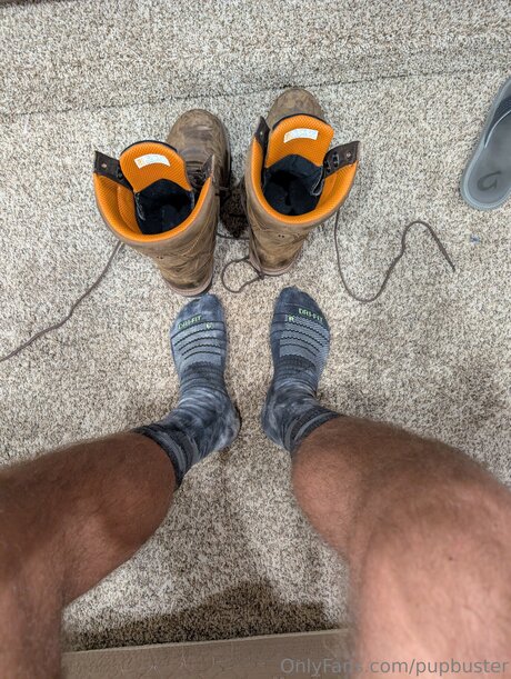 Pupbuster freie hübsche bild