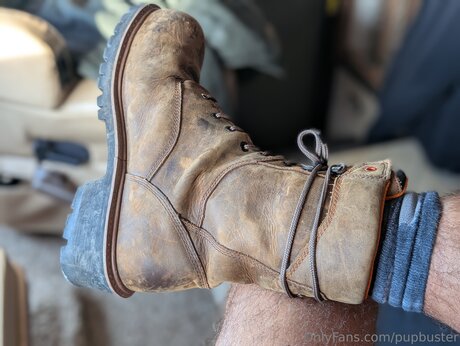 Pupbuster kostenlose hd bild