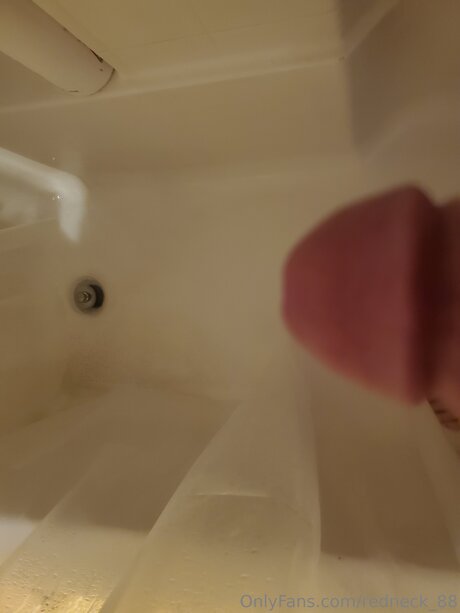 Redneck 88 schöne freie bild