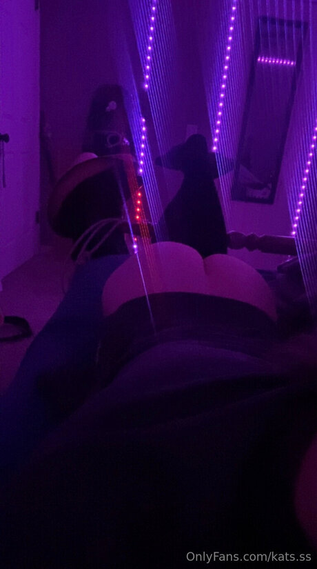 Kats Ss kunst hübsche fotos