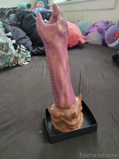 Foxhasshame beste schöne fotos