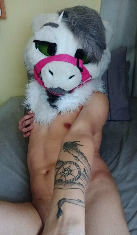 kiltro dragon akt foto