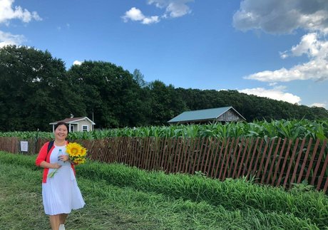 sunnymei top kostenlose bilder