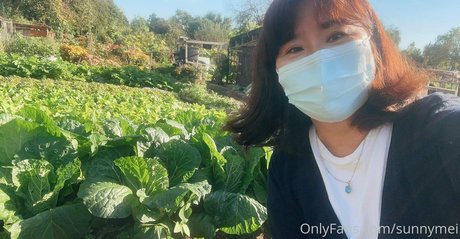 sunnymei nacktheit pornografische foto