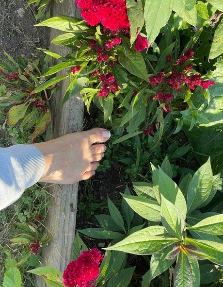 sunnymei sexy perfekte bild