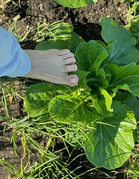 sunnymei hd kunst galerie