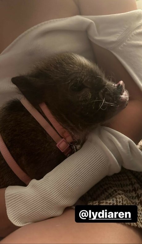 große titten gothic onlyfans freie nackt bild