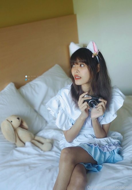 bibbob hübsche freie bilder