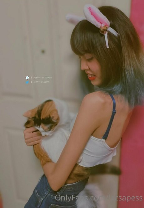 bibbob kostenlose sex galerie