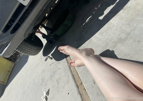 tacowhore nacktheit freie bilder