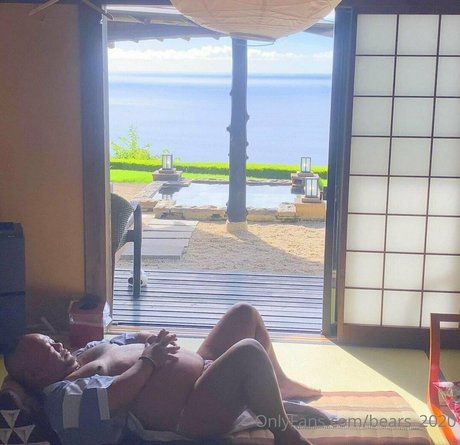 bears 2020 perfekte top galerie