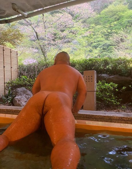 bears 2020 heiße kunst bilder