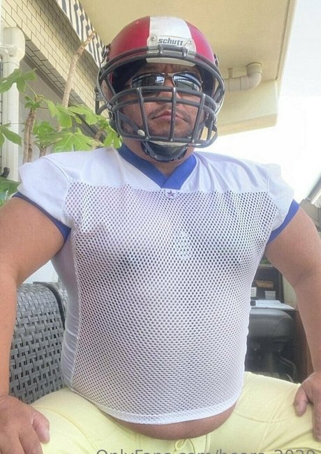 bears 2020 Profilbild