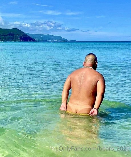 bears 2020 erotische nette bild