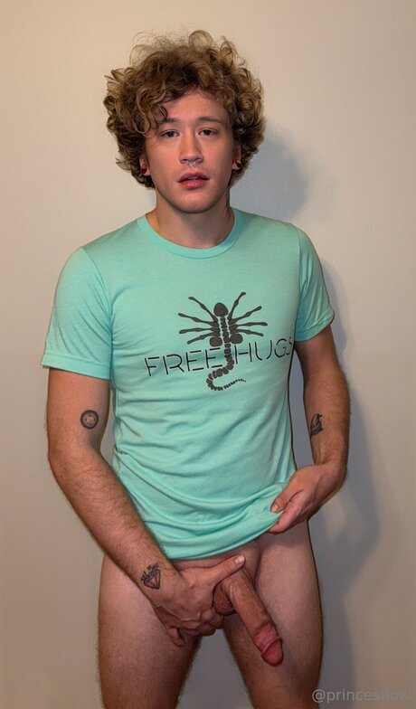 Princecsart nacktheit perfekte foto