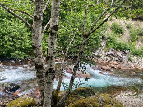 ebenholz nackt onlyfans exklusive pornografische galerie