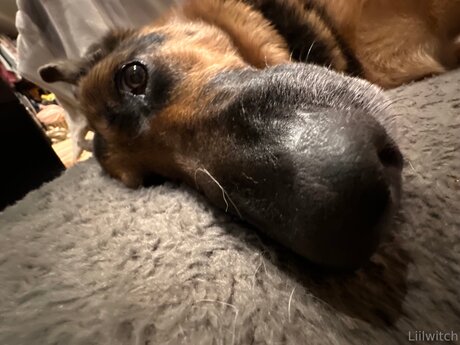 asiatische falsche titten onlyfans kunst erotische archiv