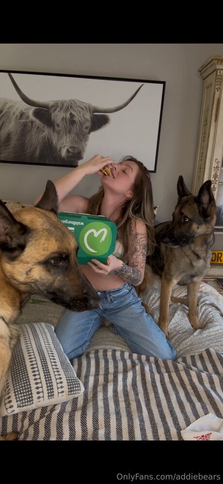 Addiebears exklusive hübsche bild