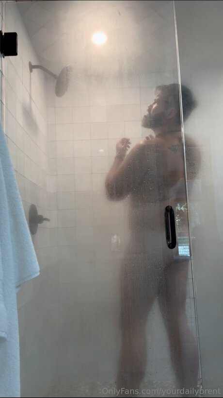 Yourdailybrent top freie galerien