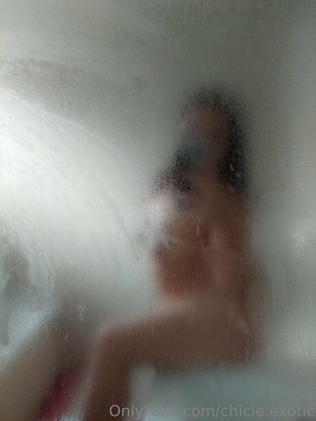 Chicle Exotic exklusive freie galerien