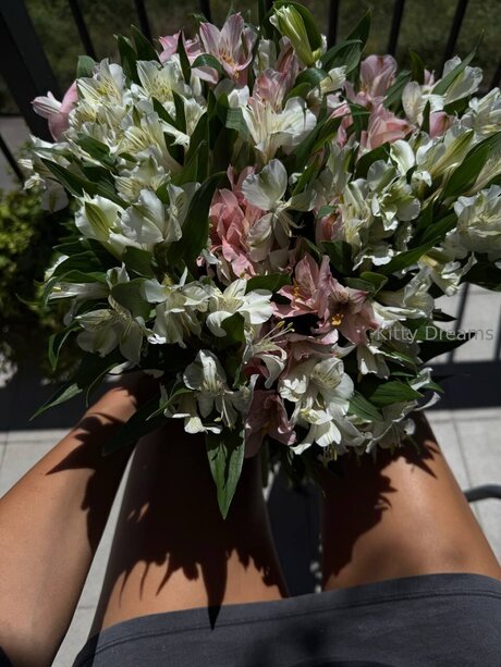 Kitty Dreams Vip erotische exklusive fotos