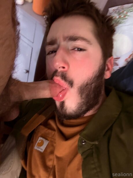 Emsealion xxx pornostar archiv