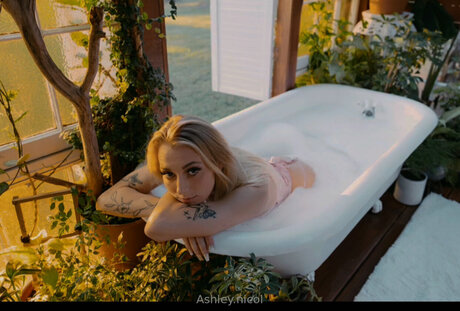 Ashley Nicol heiße porno galerie