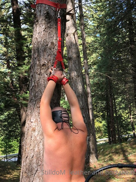 Stilldom perfekte sexy galerien