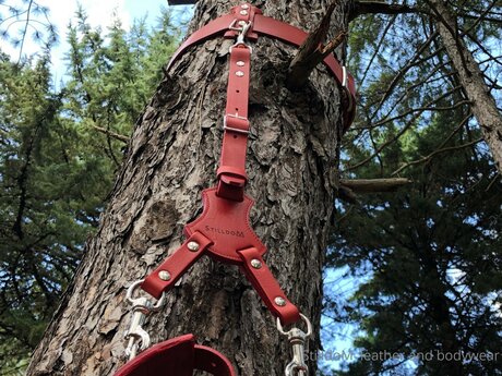 Stilldom nacktheit freie galerien