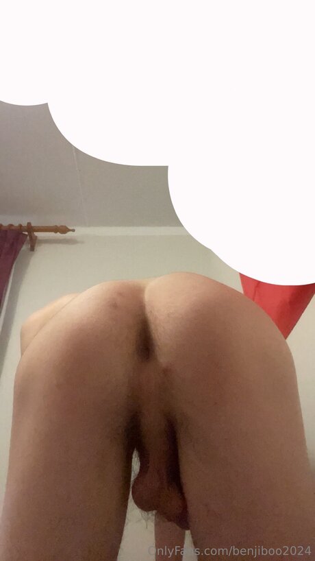 Benjiboo2024 erotische hd bild