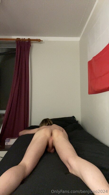 Benjiboo2024 kostenlose bild