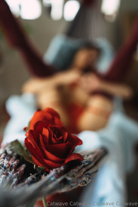 Catwave nacktheit nette bild