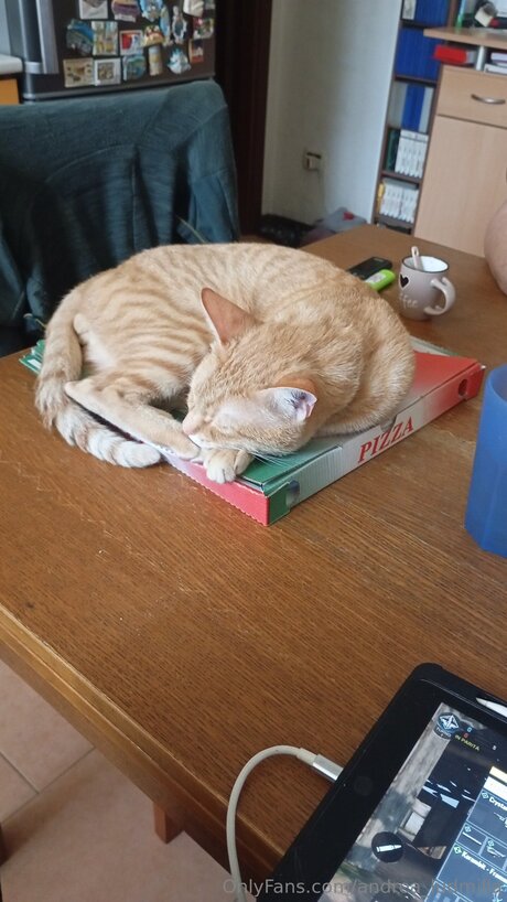 Andrea Ludmilla model kunst foto