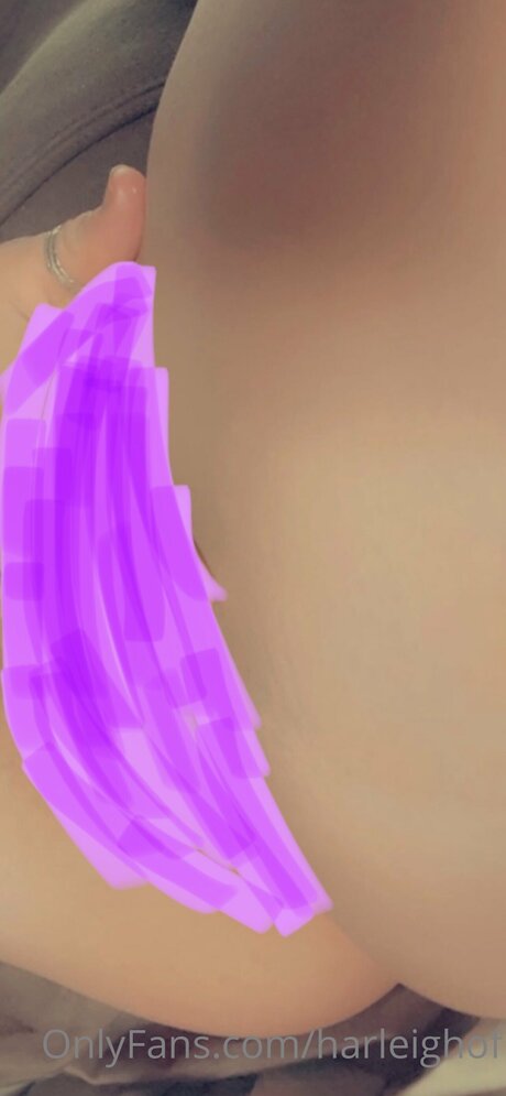 Harleighof perfekte porno bilder