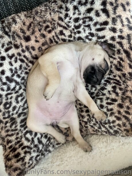 Sexypaigemadison exklusive sex fotos