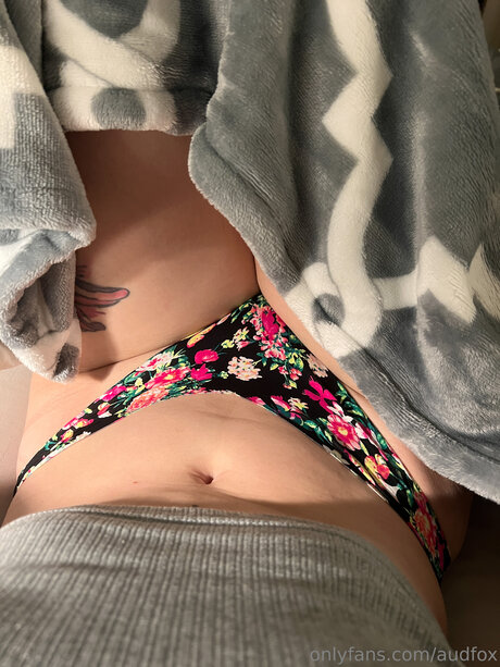 Audfoxx xxx schöne galerie