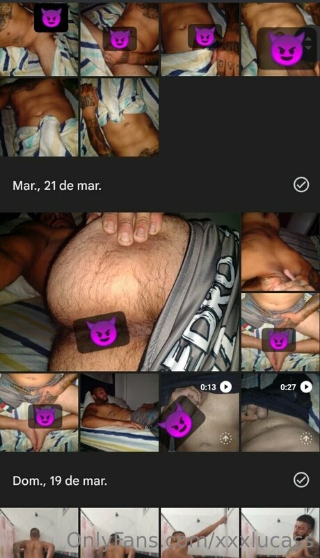 Secret Knight Bilder