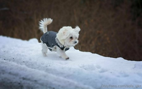 sofa ukr perfekte kostenlose galerien