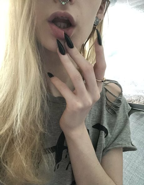 snakefoxbox Profilbild