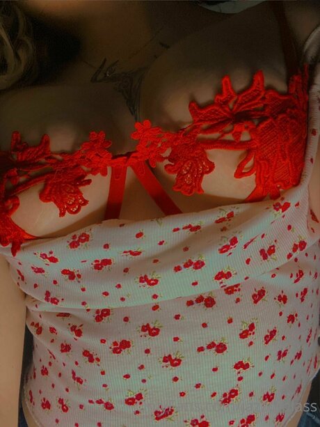 Jazzdiplass porno beste fotos