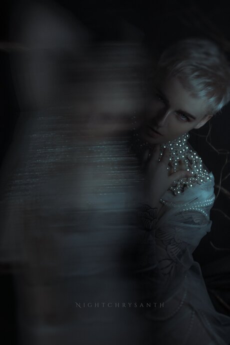 Freenightchrysanth top sex galerien