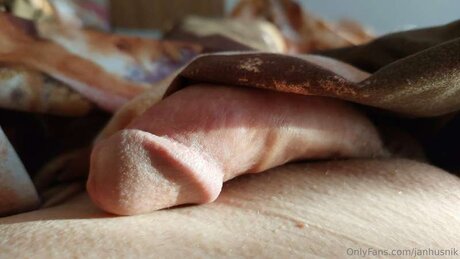 Janhusnik top pornografische bild