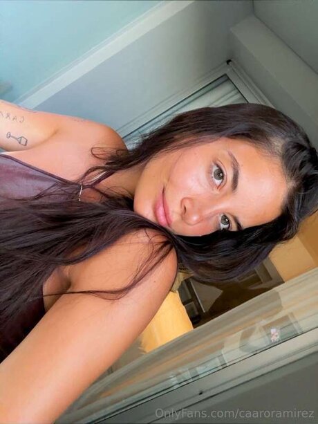 sterne nur fans freie schöne foto