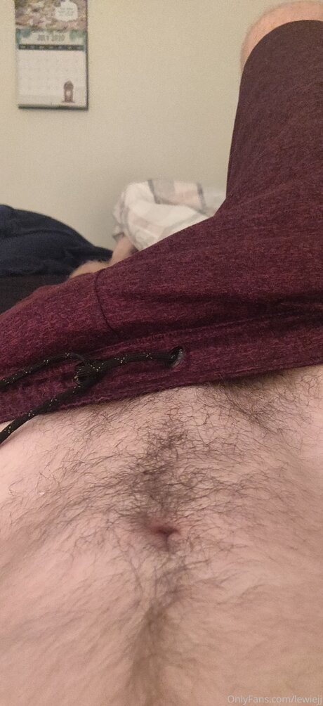 Ljj98 model kostenlose archiv